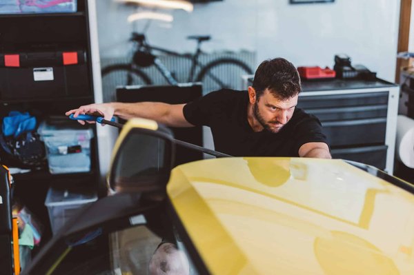 ¿Qué hacer si mi conejo tiene problemas con los dientes mal alineados?