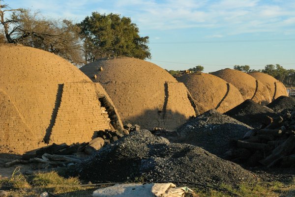 ¿Cómo está la inteligencia artificial cambiando la forma en que se desarrollan los videojuegos?